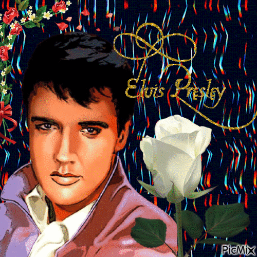 Elvis - Tons verts et roses - GIF animé gratuit