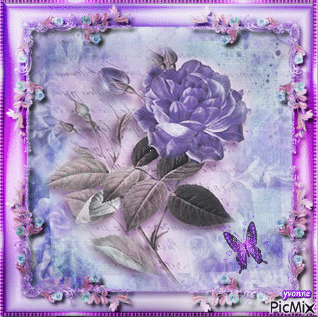 purple rose - GIF animé gratuit
