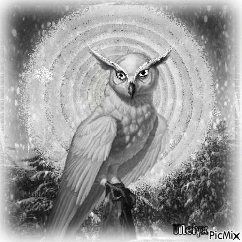 winter owl - GIF animado gratis