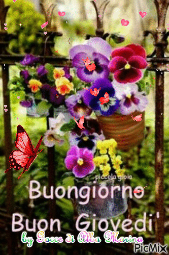 Buongiorno Buon Giovedì - Free animated GIF