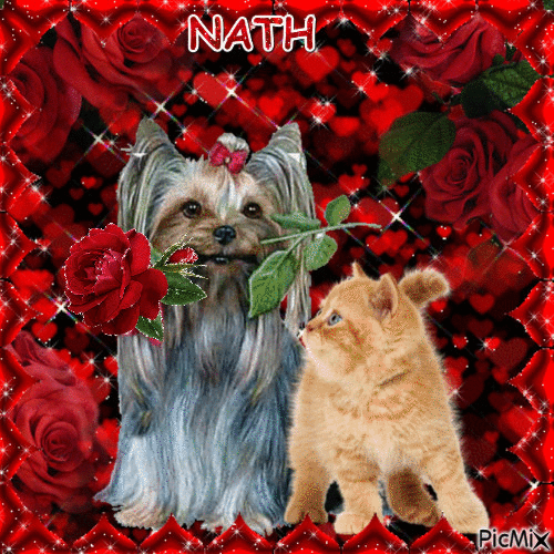 CHIEN ET CHAT   CONCOURS - Free animated GIF