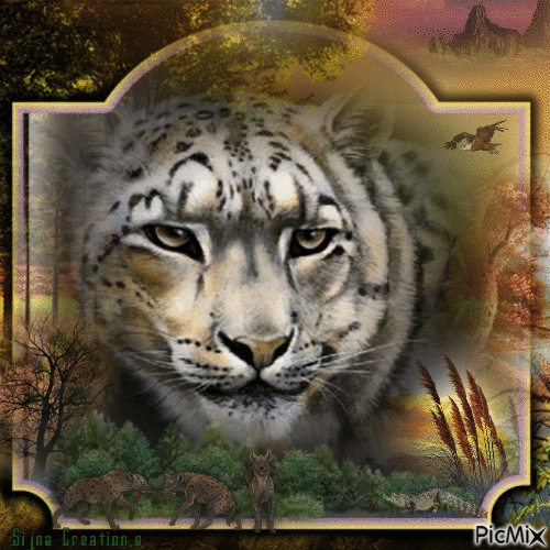 Bewegende tijgerkop - 無料のアニメーション GIF
