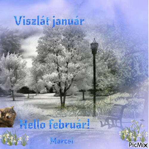 Hello február! - Ingyenes animált GIF