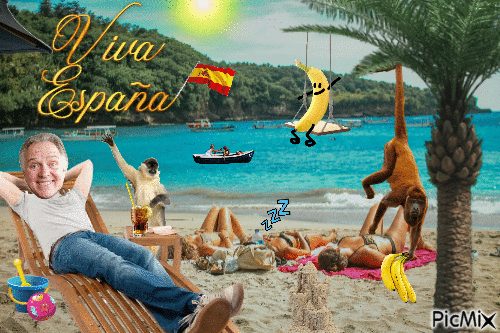 Rick Mayal in Spain with his monkeys - Animovaný GIF zadarmo