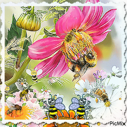 Bienen und Blumen - GIF เคลื่อนไหวฟรี