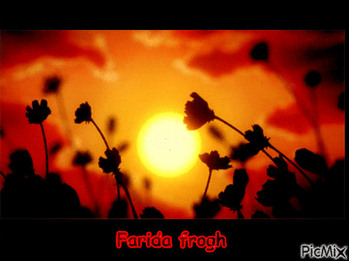 sunset - GIF animé gratuit