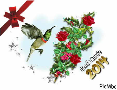 bonne année 2014 - Ingyenes animált GIF