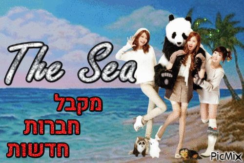 the sea club 4 - Δωρεάν κινούμενο GIF