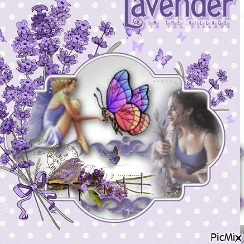 Lavender - darmowe png