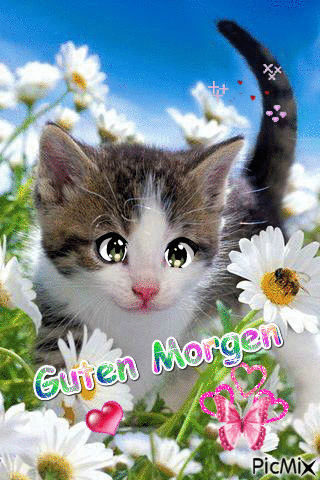 morgen - Zdarma animovaný GIF