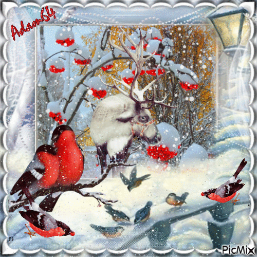 Birds in winter - Free animated GIF