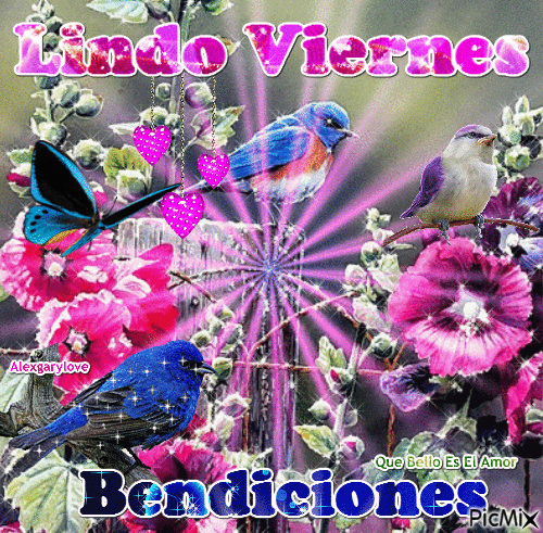 Lindo Viernes - Бесплатный анимированный гифка