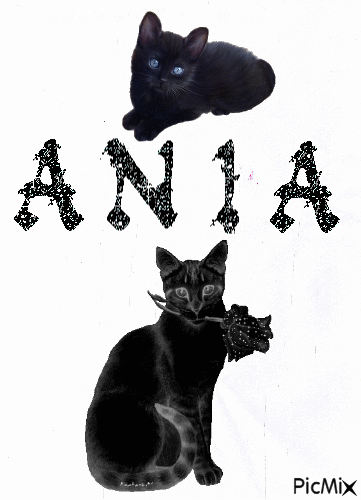 ania - Zdarma animovaný GIF