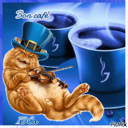 Bon café les chats - Zdarma animovaný GIF