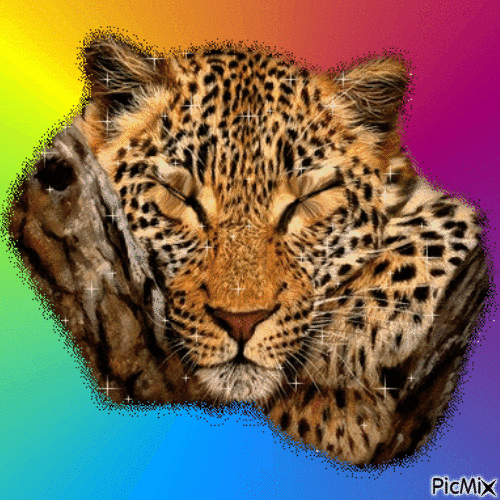 Le Tigre affamé - Free animated GIF
