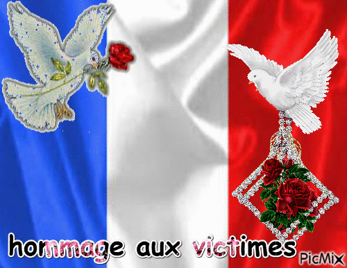 hommage aux victimes du 13 novembre 2015 - Bezmaksas animēts GIF