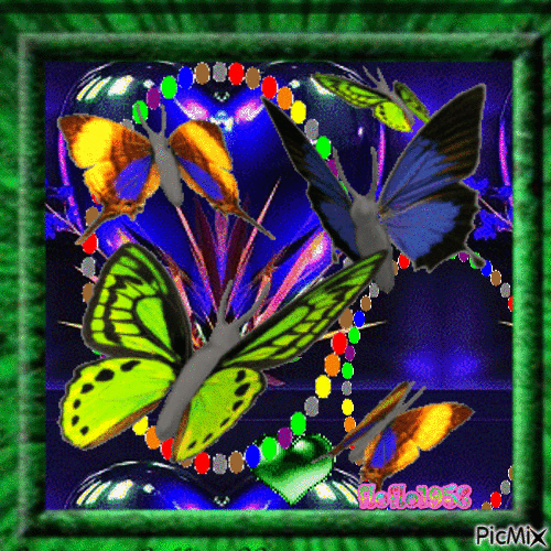 papillons - GIF animé gratuit