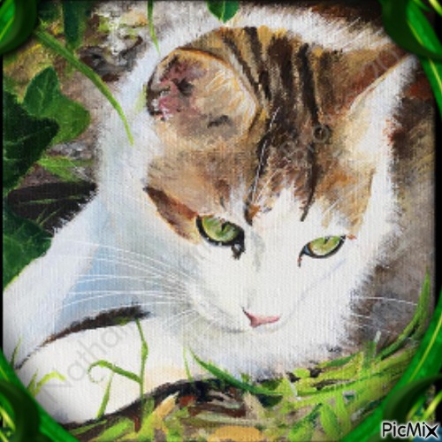 Chat aux yeux verts - zdarma png