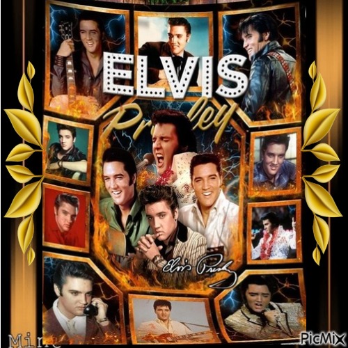 Elvis - zdarma png