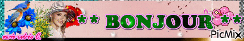 Bannière / "BONJOUR" - Gratis geanimeerde GIF