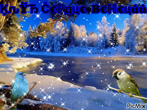 Зима птицы - Ingyenes animált GIF