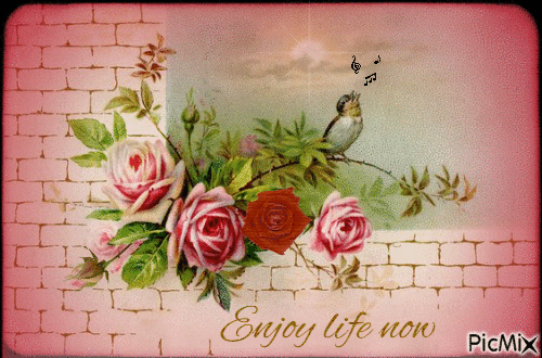Enjoy life now - Gratis geanimeerde GIF