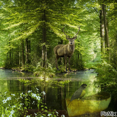 Im Wald - Gratis animerad GIF