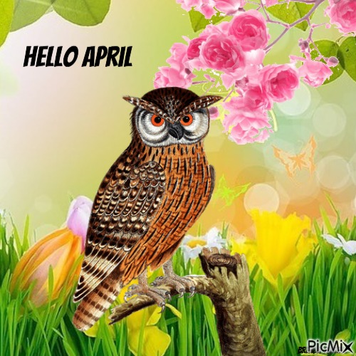 April owl - gratis png
