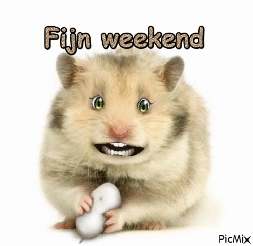 Fijn weekend - Безплатен анимиран GIF