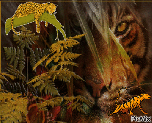 Tigre na floresta - Gratis geanimeerde GIF