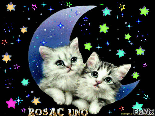 Dolce notte - Free animated GIF