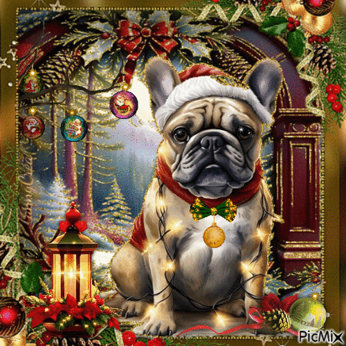 Christmas dog - Gratis geanimeerde GIF