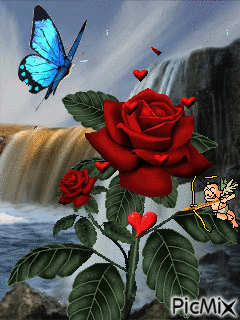 mariposa en la flor - 免费动画 GIF