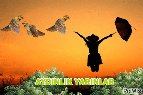 AYDINLIK - Безплатен анимиран GIF