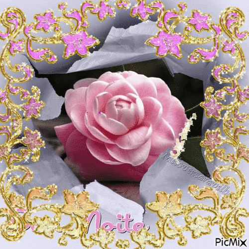 quadro rosa - GIF animé gratuit