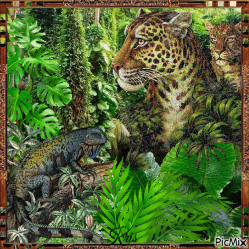 Iguane en compagnie de léopards - GIF animé gratuit