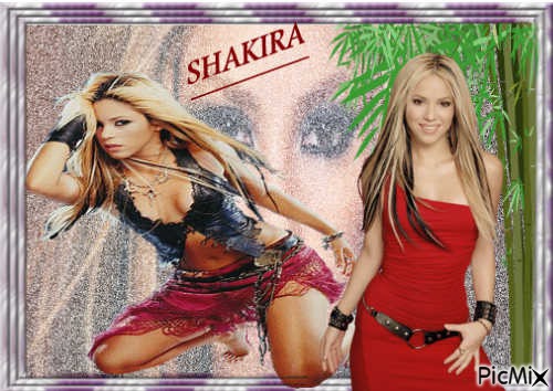 Shakira - ingyenes png