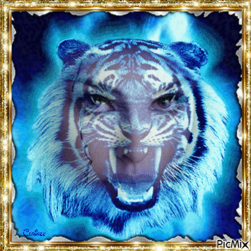 Femme tigre - Δωρεάν κινούμενο GIF