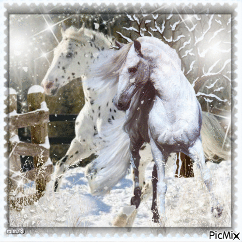 chevaux dans la neige - Бесплатни анимирани ГИФ