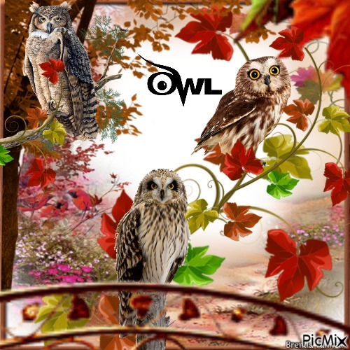 autumn owl - png gratis