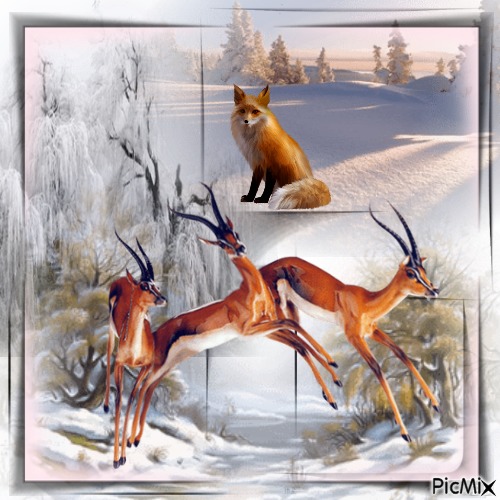 Animais da floresta no inverno - darmowe png
