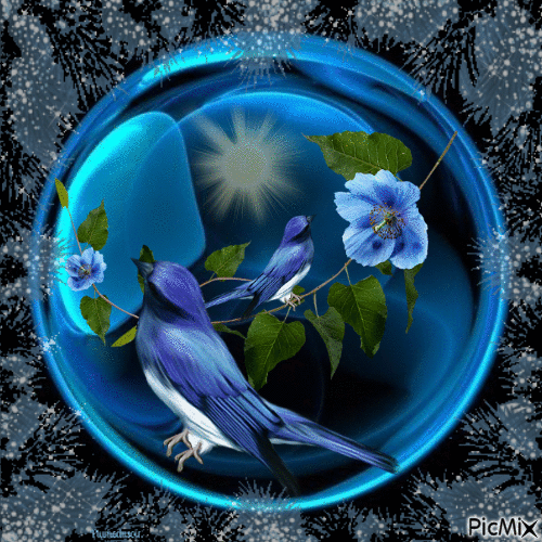 Oiseaux bleus dans une bulle. - Animovaný GIF zadarmo
