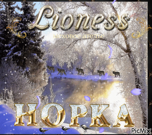 norka - Безплатен анимиран GIF