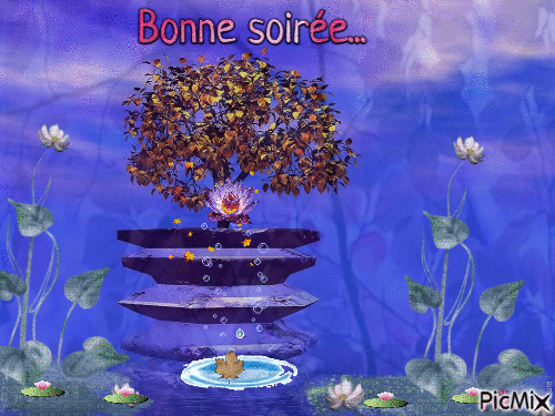 La fontaine Zen " Bonne soirée " - Darmowy animowany GIF