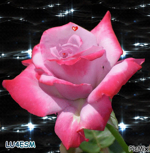Rosa - Besplatni animirani GIF