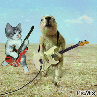 Prairie dog playing electric guitar - Gratis geanimeerde GIF