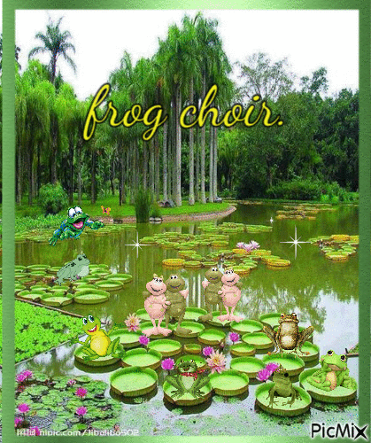 frog choir - GIF เคลื่อนไหวฟรี