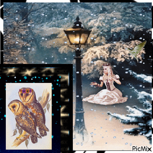 Chouettes hivernales - Darmowy animowany GIF