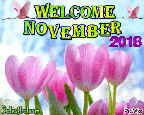Bem-vindo novembro - Ingyenes animált GIF
