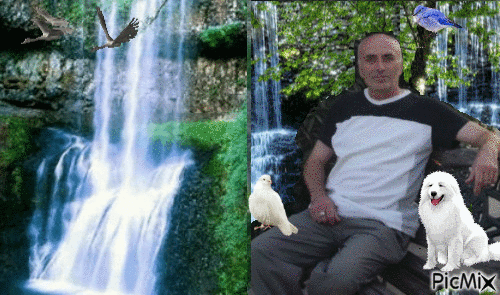 ზოია - Ingyenes animált GIF